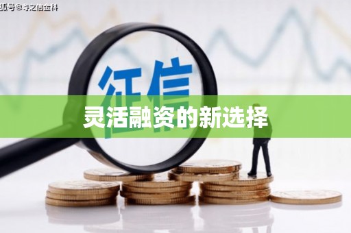 小金灵活融资的新选择