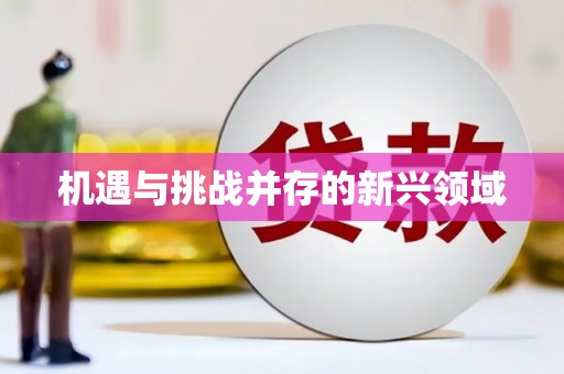 小金机遇与挑战并存的新兴领域