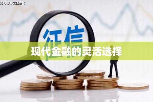 小金现代金融的灵活选择