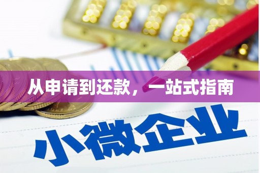 小金从申请到还款，一站式指南
