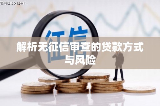 小金解析无征信审查的贷款方式与风险