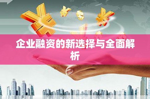 小金企业融资的新选择与全面解析