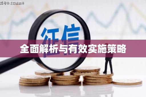 小金全面解析与有效实施策略