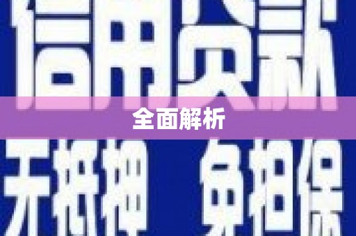 小金全面解析