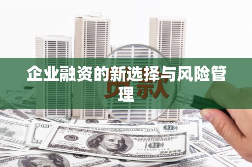 小金企业融资的新选择与风险管理