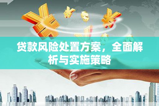 小金贷款风险处置方案，全面解析与实施策略