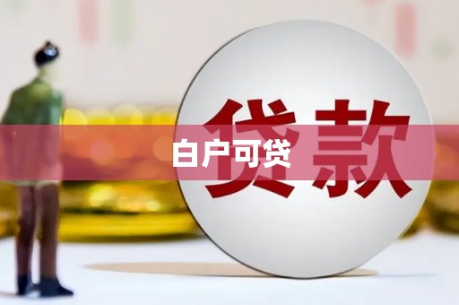 小金白户可贷