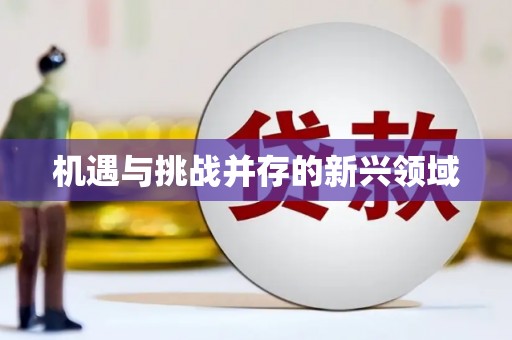 小金机遇与挑战并存的新兴领域