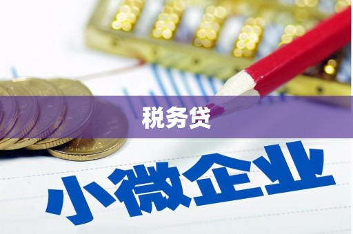 小金税务贷