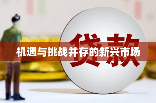 小金机遇与挑战并存的新兴市场