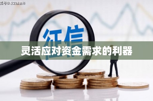 小金灵活应对资金需求的利器