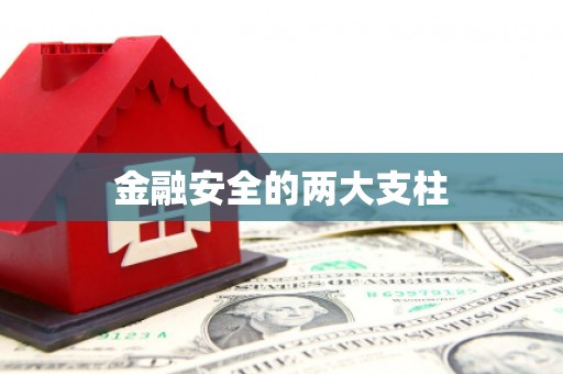 小金金融安全的两大支柱
