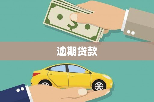 小金逾期贷款