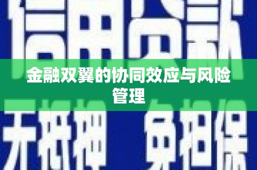 小金金融双翼的协同效应与风险管理