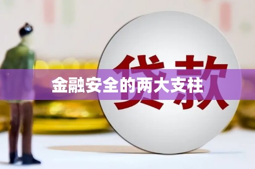 小金金融安全的两大支柱