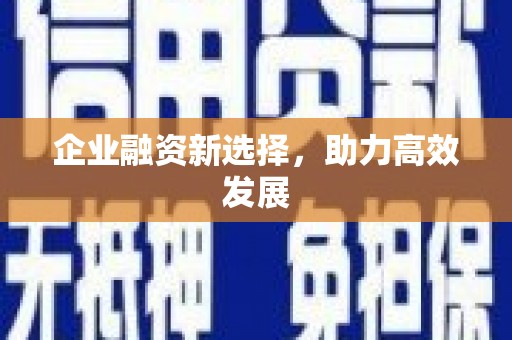 小金企业融资新选择，助力高效发展