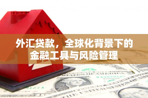 小金外汇贷款，全球化背景下的金融工具与风险管理