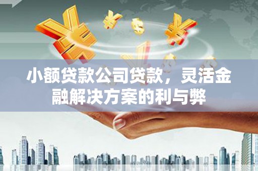 小金小额贷款公司贷款，灵活金融解决方案的利与弊