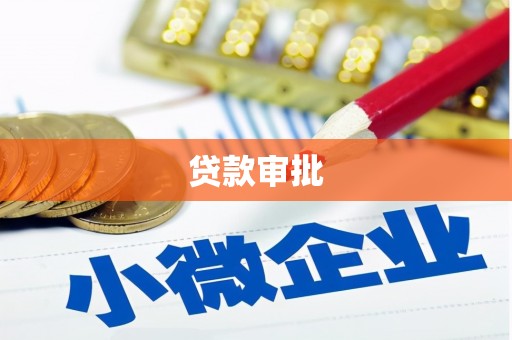小金贷款审批