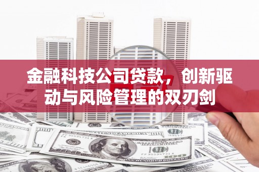 小金金融科技公司贷款，创新驱动与风险管理的双刃剑