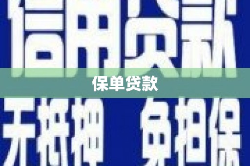 小金保单贷款